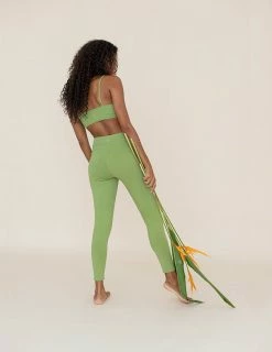 Indigo Luna New In Ananda Legging Soft Apple